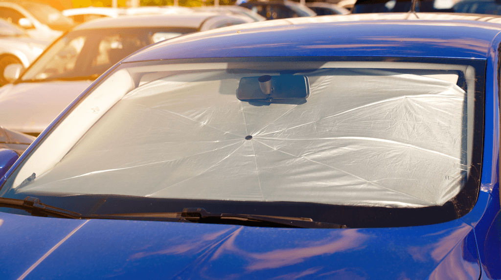 車に轢よけをしている